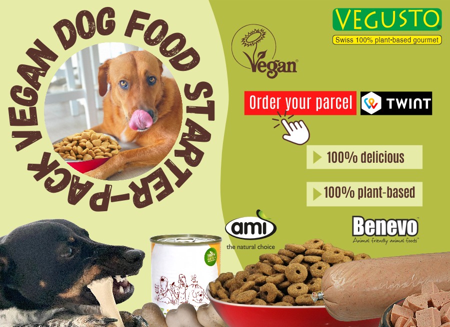 Vegan Dog starter pack!