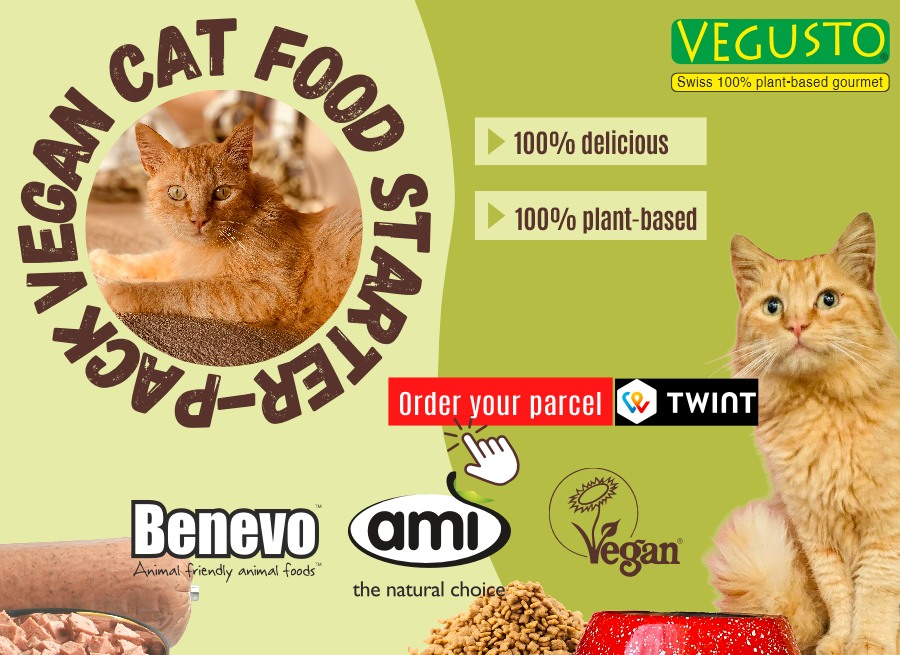 Try vegetarian cat food!