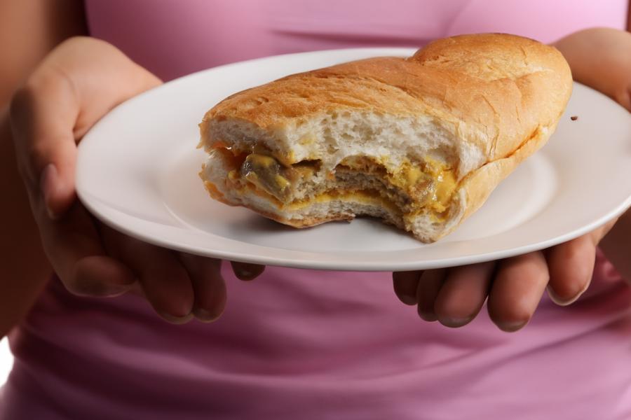 Vegan schnitzel bread with homemade schnitzel sauce\r\n <p>We got lucky! Our photographer just managed to take a photo of this schnitzel sandwich before he ate it himself!</p>